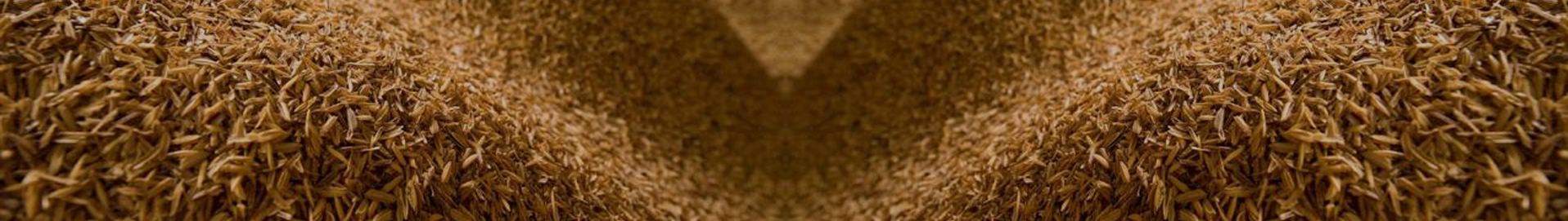 Banner-header